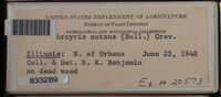 Image Associated With the Occurence